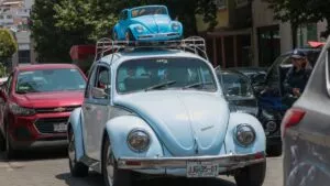 Conmemoran en Toluca el Día Mundial del Vocho con caravana y exposición de autos clásicos