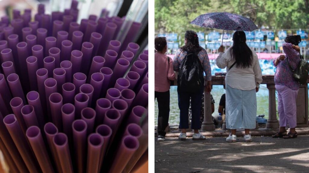 Plásticos Bosque de Chapultepec