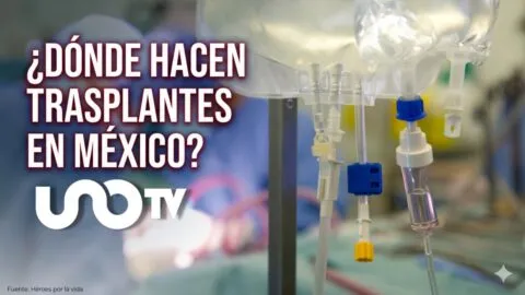 Día Mundial de los Pacientes Trasplantados: ¿dónde se realizan trasplantes en México y cómo debes cuidarte?