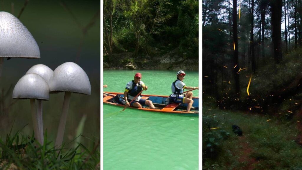 Día del PAdre destinos