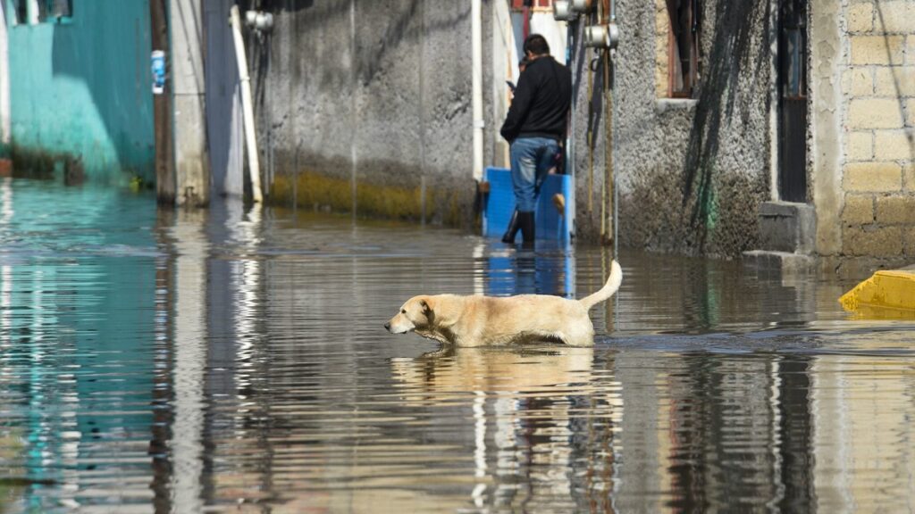 eje-1-norte-y-metro-lagunilla-amanecen-inundados-por-fuerte-lluvia-en-cdmx