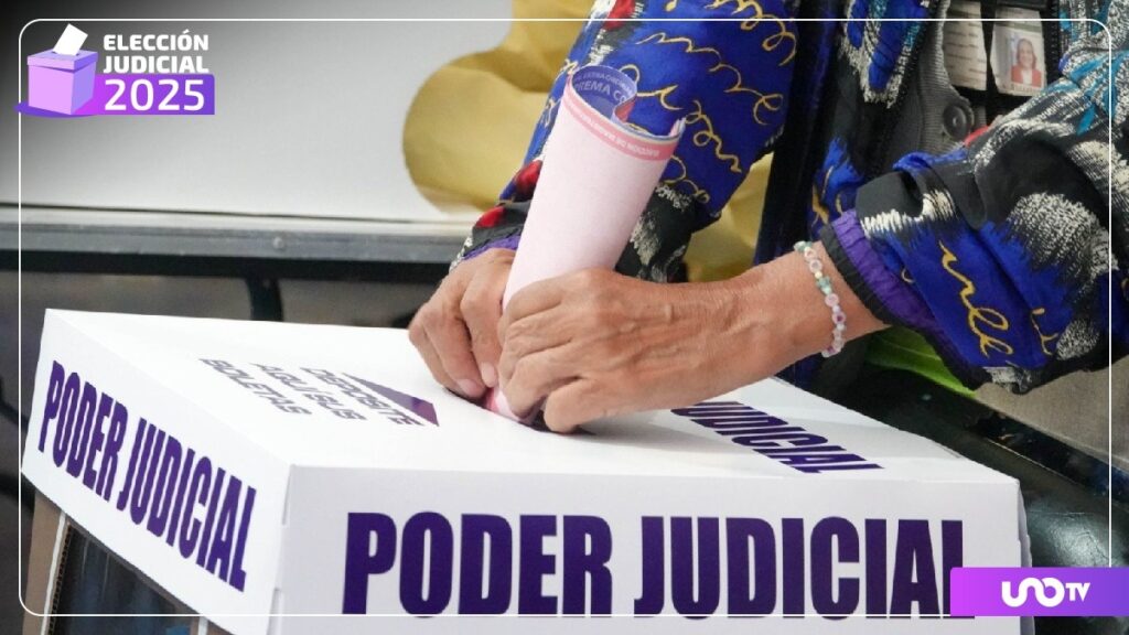 en-la-eleccion-judicial-de-la-cdmx-el-85-por-ciento-de-los-chilangos-no-votaron-iecm