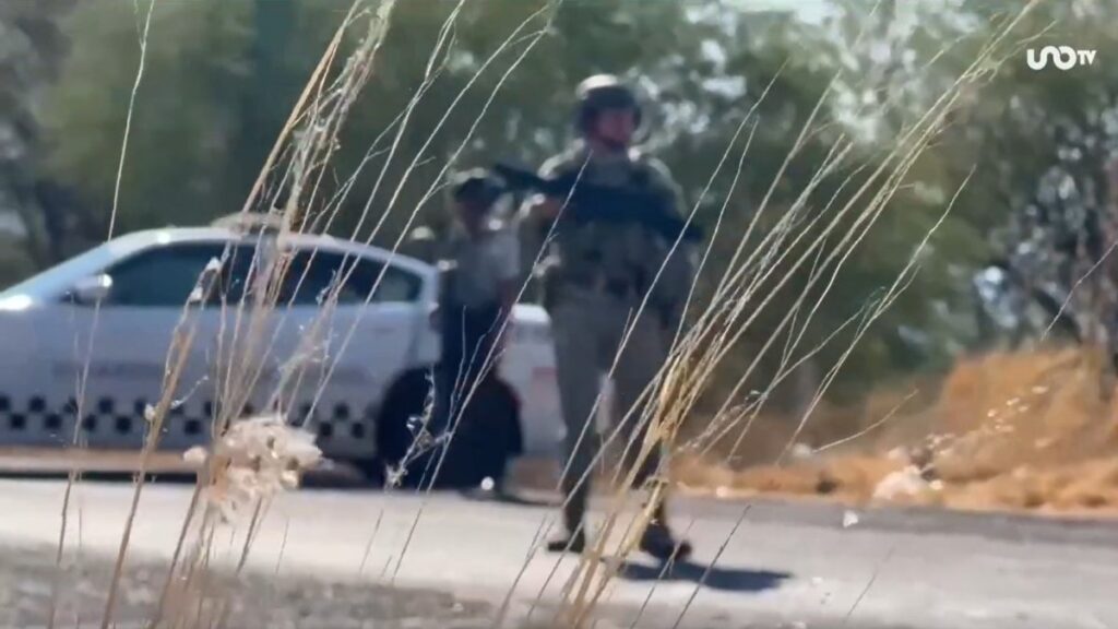 Narco invernadero en Zacatecas