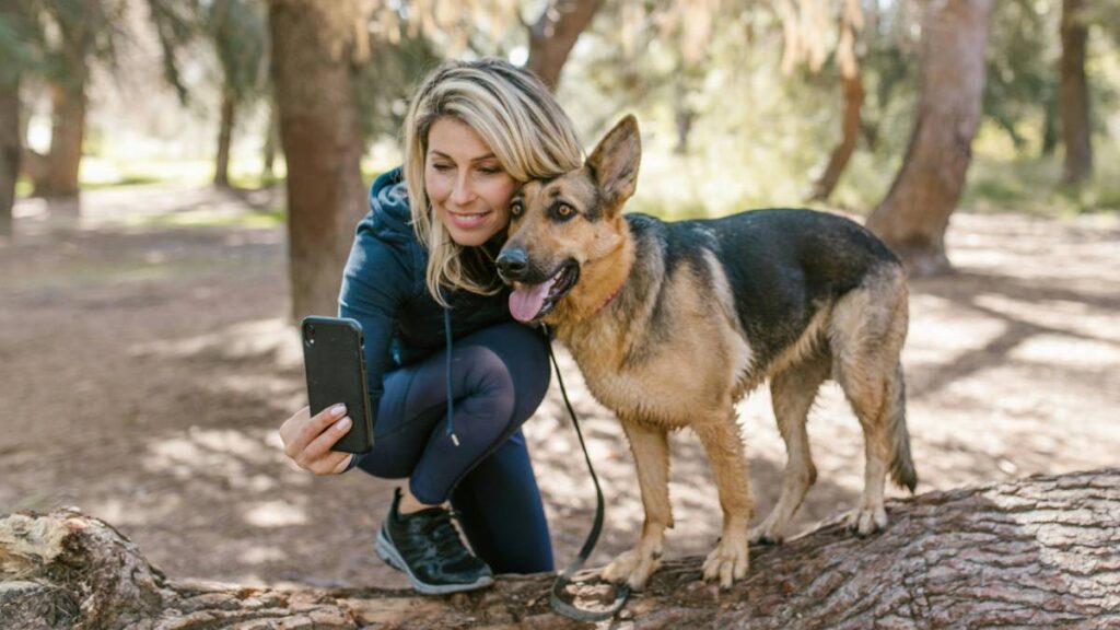 Aldo Flores Cuevas 5515341876 Pastor Aleman