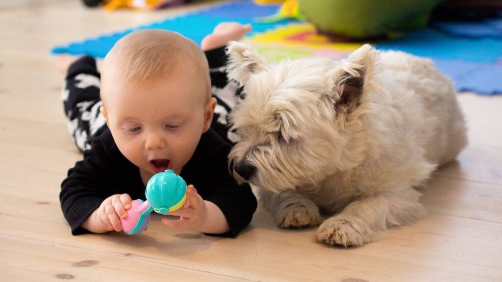 ¿Cómo tu perro podría proteger a los niños de esta enfermedad de la piel?
