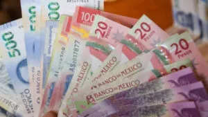 Sofomes endurecen filtros de crédito ante impacto del crimen organizado