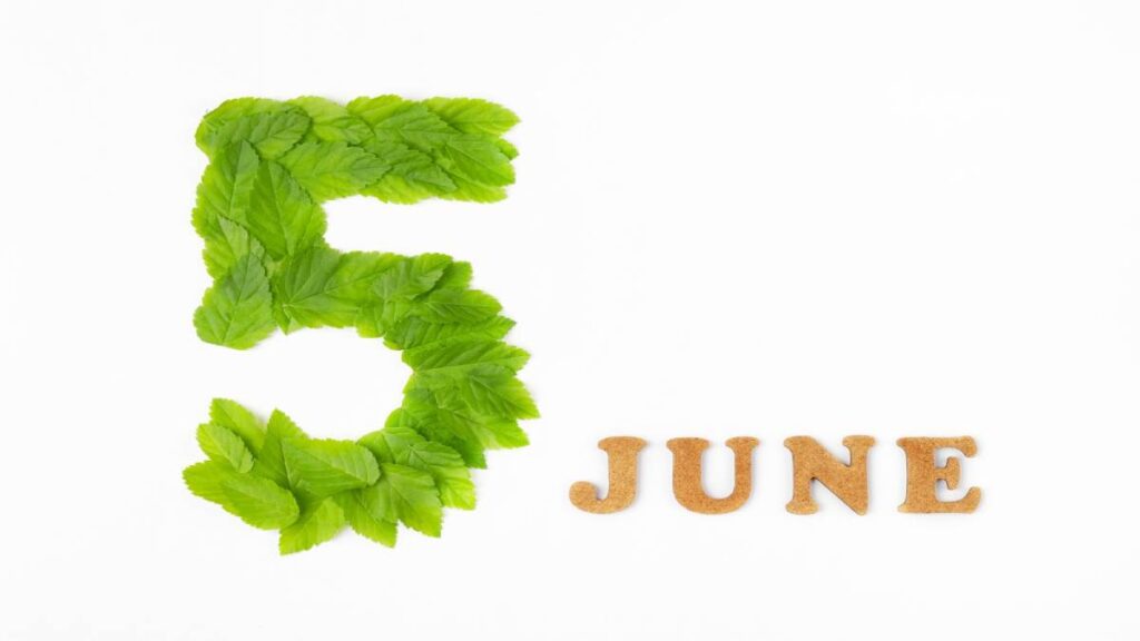 ¿Qué se celebra el 5 de junio y a qué santo se festeja?