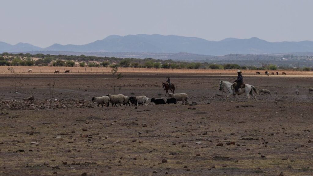 Tres estados de México presentan sequía extrema y excepcional.