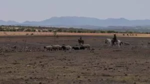 Mientras el país mejora, Chihuahua, Sonora y Sinaloa enfrentan sequía extrema