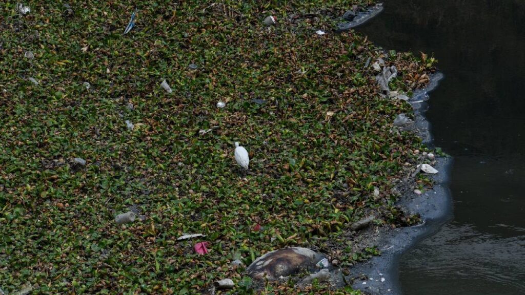 siguen-desembocando-aguas-residuales-en-la-bahia-de-acapulco