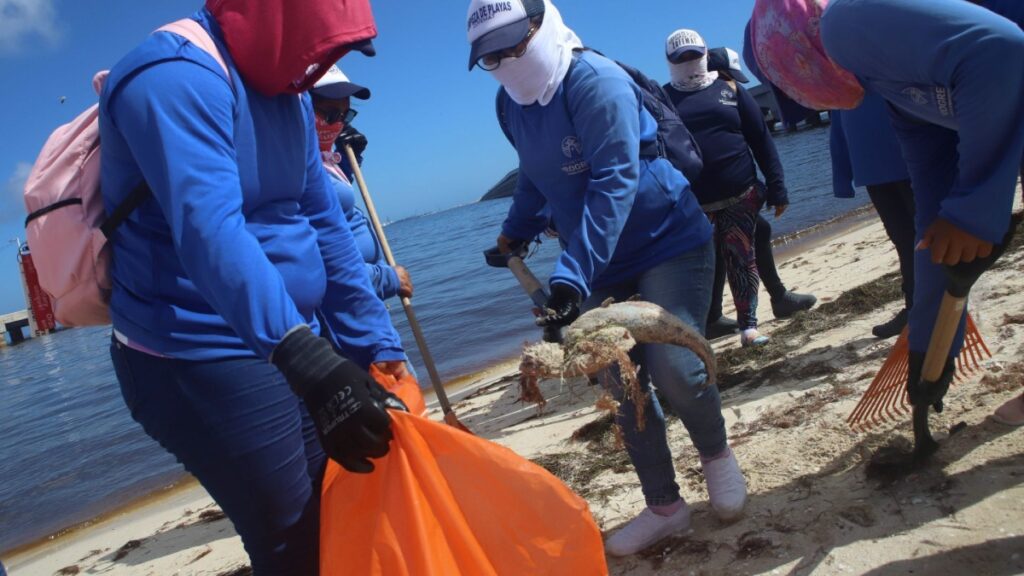 Yucatecos se suman a la limpieza de sus playas con programa que inició en Progreso