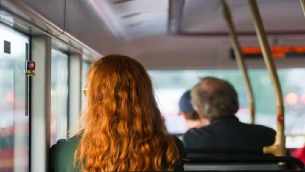 Anuncian Marina Bus: ¿dónde operará y cuál será su ruta?