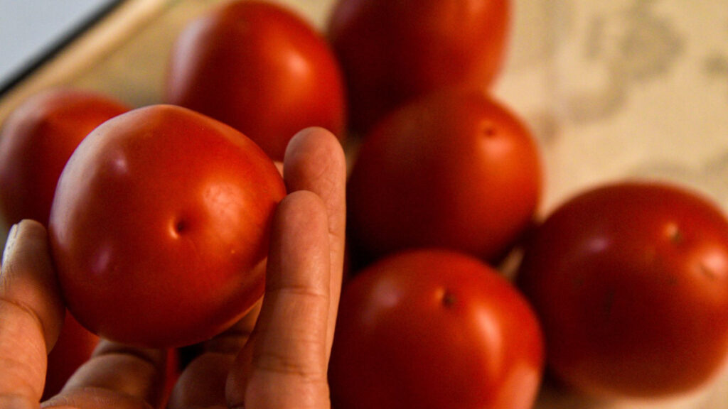 México rechaza arancel de EE. UU. al jitomate