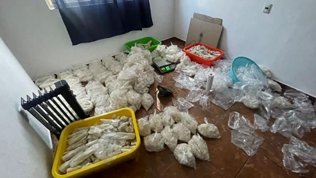 Aseguran 800 kilos de metanfetamina y detienen a 2 en Michoacán; agredieron a policías