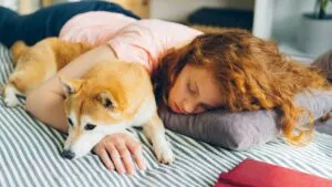 Beneficios y riesgos de dormir con una mascota, por si compartes cama con tu perro o gato