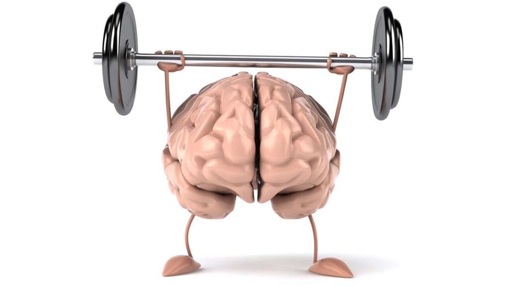 Cerebro Eduardo Calixto