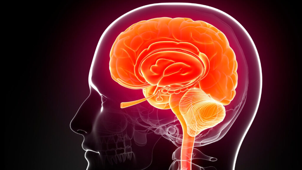 Los hispanos tienen un mayor riesgo inexplicable de cierto trastorno nervioso