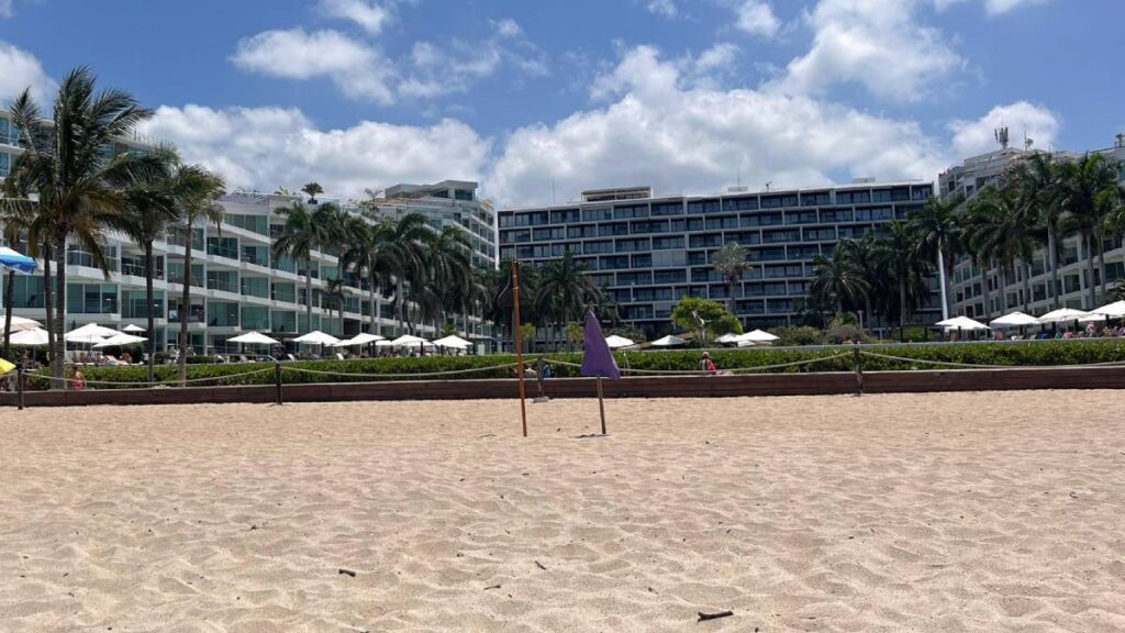 Bandera morada por presencia de cocodrilo.