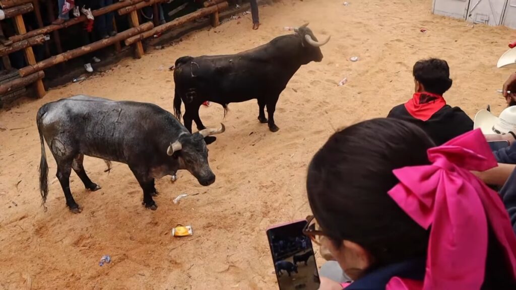 Con 10 toros de lidia, realizan en Hidalgo la Santigada 46; deja 9 lesionados