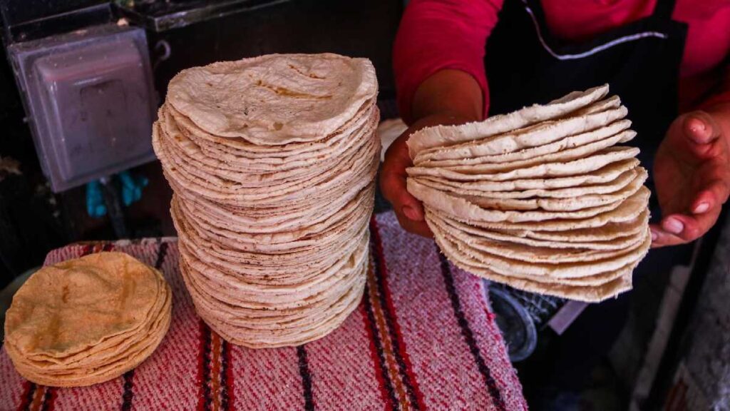 Convocatoria para bajar precio de la tortilla