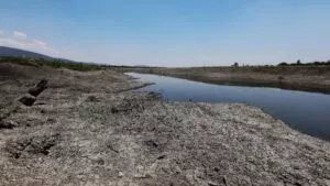 Ciclones tropicales reducen 18.2% sequía en México; abarca 36.2%: SMN