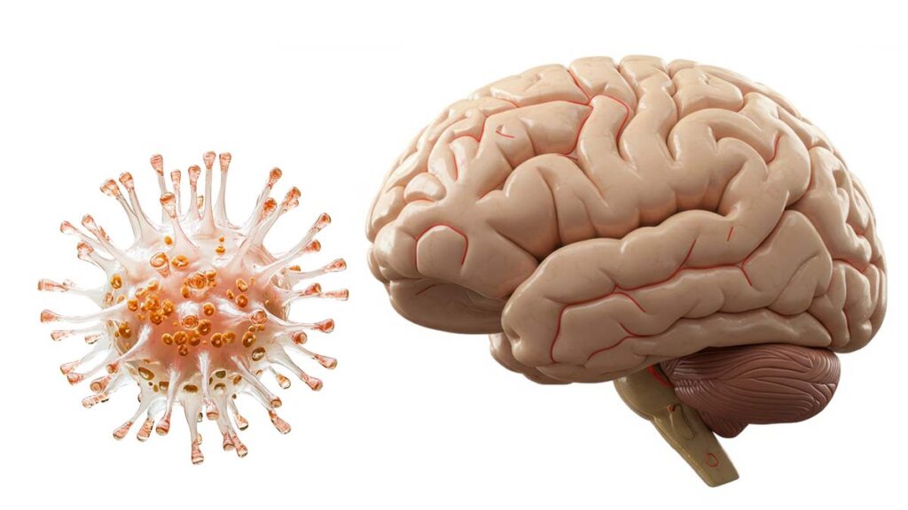 Envejecimiento Cerebral Covid