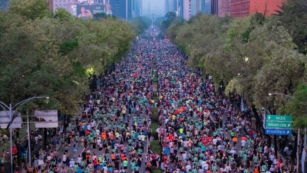 flores-pasto-y-contratos-cdmx-lanza-licitacion-para-mantener-sus-areas-verdes