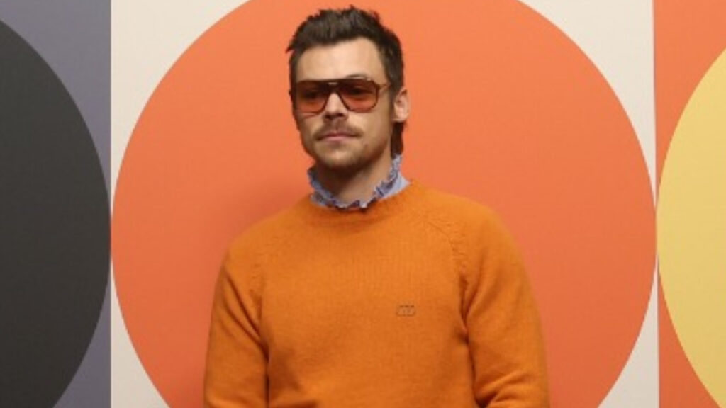 Harry Styles sorprende a las "directioners" con una línea de juguetes sexuales