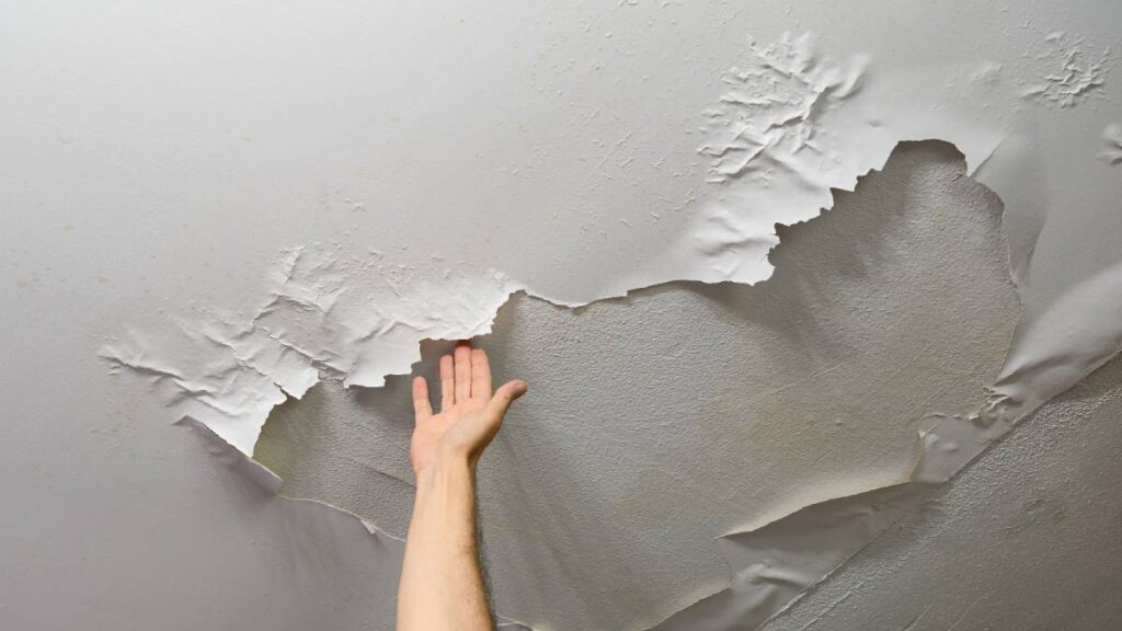 asi puedes eliminar humedad