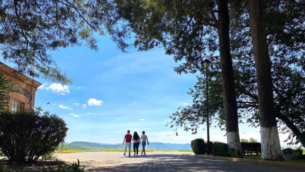 El IMSS ofrece más de 9 mil 100 espacios en sus Centros Vacacionales este verano. Consulta precios, servicios y opciones dog friendly