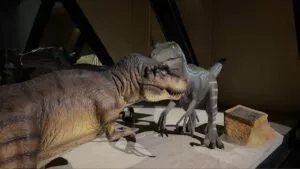 Museo del Meteorito narra la última gran extinción hace 66 millones de año