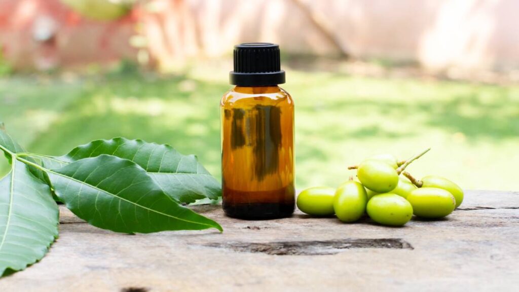 ¿Qué es el neem y cuáles son sus beneficios para la salud?