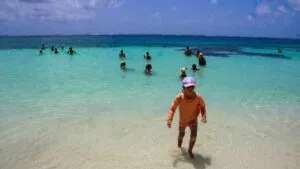 Playas de Quintana Roo, listas para recibir a turistas este verano, con cuadrillas de limpieza de sargazo