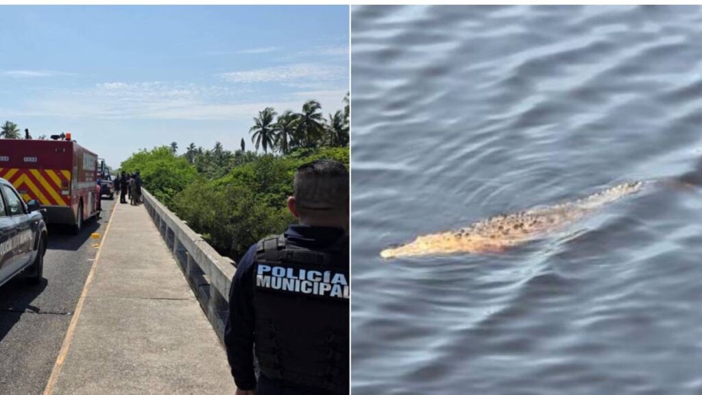 Un adolescente de 14 años murió en Lázaro Cárdenas, Michoacán, tras caer de un puente y ser atacado por cocodrilos en Barra de Santa Ana.