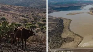 ¡Lluvias reducen sequía un 5.7%! Está en 54.4% de México