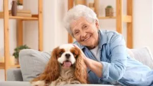 Beneficios de tener una mascota en la vejez: compañía, salud y bienestar