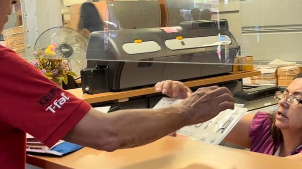 Cambio de placas en Jalisco: ¿qué autos deben hacerlo en agosto?