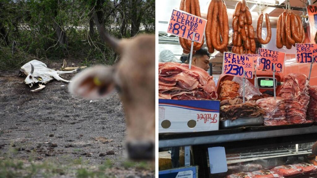 Sequía incrementa precio de carne.