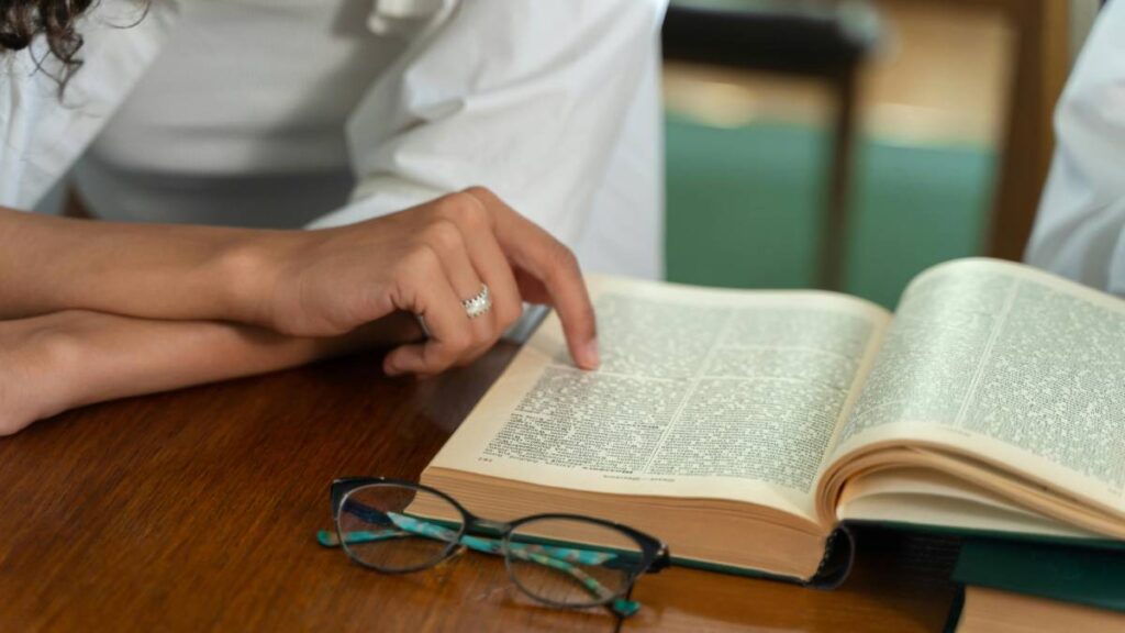 Diccionario Cambridge agrega “skibidi”, “tradwife” y “delulu”, ¿qué significan?