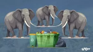 Retirar 35 mil toneladas de basura del drenaje en CDMX: como si sacaran 6 mil elefantes de las alcantarillas