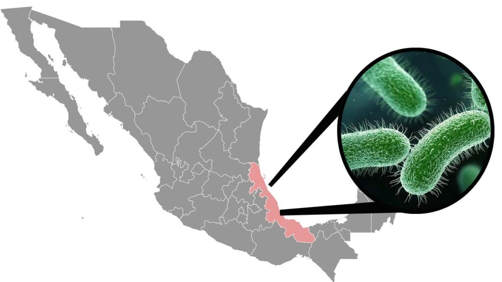E Coli Veracruz