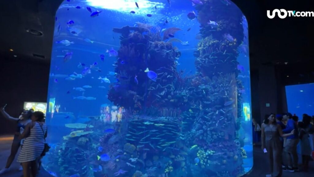 Acuario Mazatlán