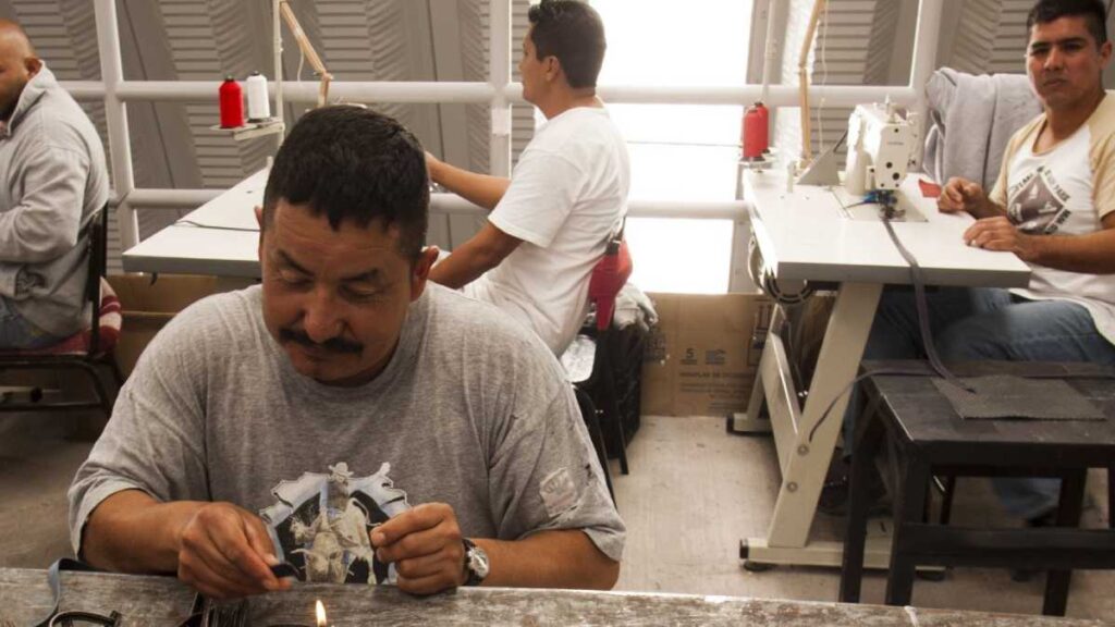 ¿Qué empresas deben cumplir la Ley Silla?