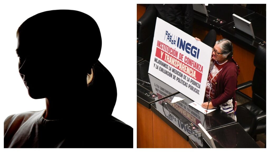 Luisa Cortés García Senadora A Cargo De Nathaly Chávez García