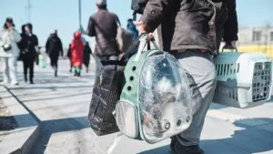 Ante redadas de ICE, instan a migrantes a preparar un plan para sus mascotas