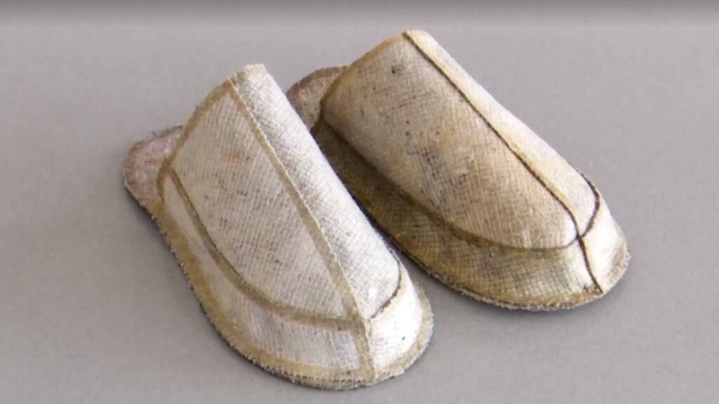 Pantuflas De Polvo