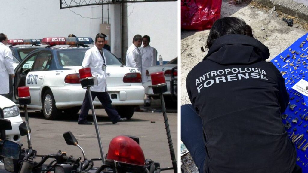 peritos convocatoria