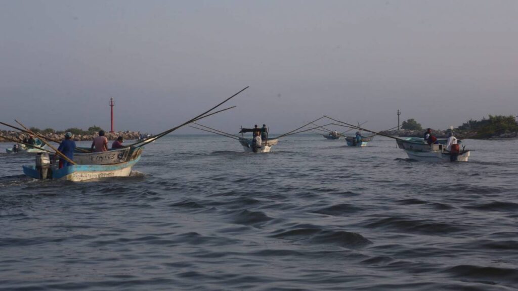 Alga nociva afecta la pesca en Progreso