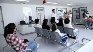 El Tarjetón Digital del IMSS te ahorra visitas y trámites presenciales; checa cómo tenerlo