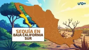 En julio de 2024 no había sequía; ahora, afecta al 60% de BCS